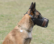 Belgian Malinois Training Dog Muzzle