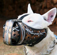 Bull Terrier Training Dog Muzzle