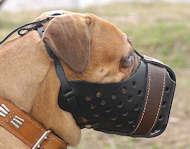 Bullmastiff Training Dog Muzzle