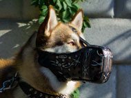 akita-siberian-husky-muzzles
