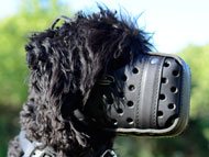 black-russian-terrier-muzzles