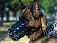 german-shepherd-muzzles