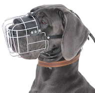 Great Dane Basket Muzzle - Cage Wire Dog Muzzle For Great Dane