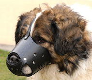New Zealand Leather Dog Muzzle For Caucasian Shepherd
