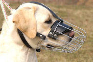 Labrador Retriever Basket Muzzle - Cage Wire Dog Muzzle For Labrador Retriever  Labrador Retriever Basket Muzzle - Cage Wire Dog Muzzle For Labrador Retriever