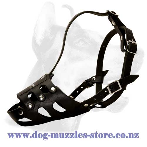 Bull Terrier leather dog muzzle - handmade custom leather muzzle