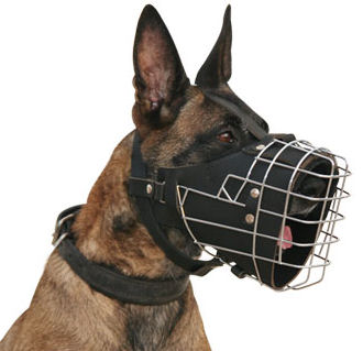 basket muzzle