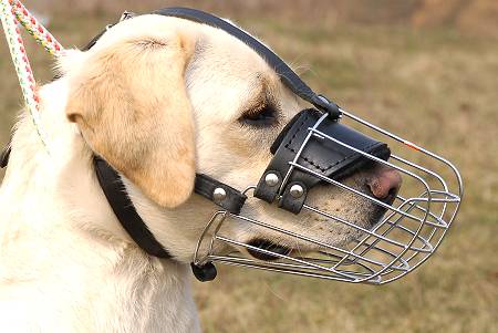 Labrador Retriever Wire Muzzle-Cage Basket Dog Muzzle