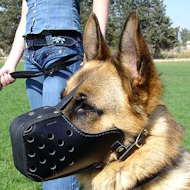 German Shepherd Training Dog Muzzle