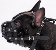 French Bulldog Light Weight Ventilation-small leatthe muzzle M41  French Bulldog Light Weight Ventilation-small leatthe muzzle M41