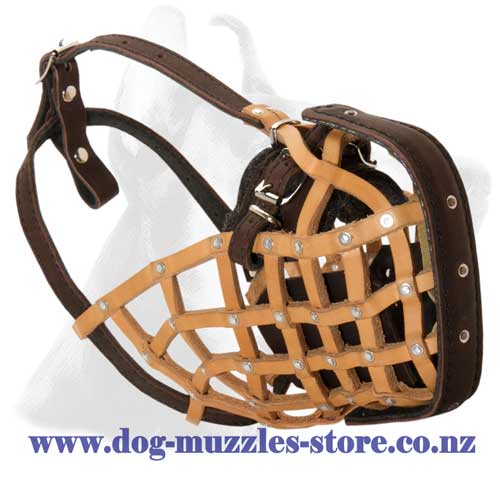 Attack/agitation training leather dog muzzle