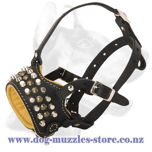 Leather dog muzzle for large breed dogs