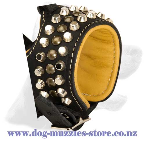 Leather dog muzzle royal design