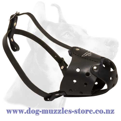 Leather dog muzzle with good ventilation