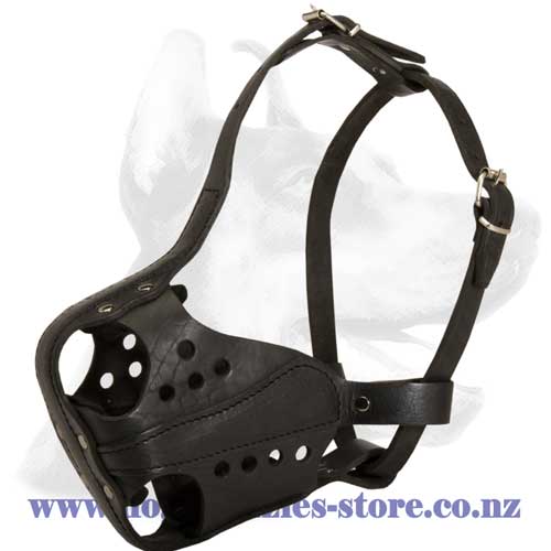 Leather dog muzzle with side reinforcement