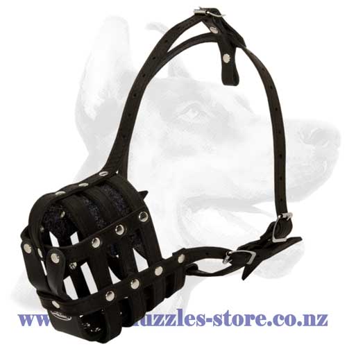 Leather dog muzzle with soft nose padding