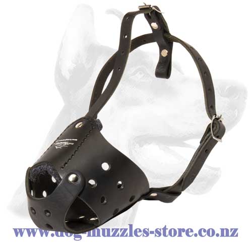 Leather dog muzzle with soft padding on nose