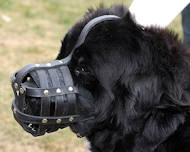 Dog Muzzle Stress Free For Newfoundland