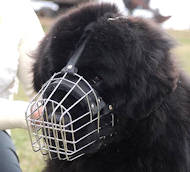 Newfoundland Basket Muzzle - Cage Wire Dog Muzzle For Newfoundland
