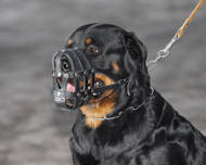 Rottweiler leather doh muzzle for rottweiler