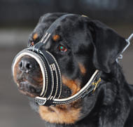 New Zealnad Rottweiler Dog Muzzle-Leather Dog Muzzle for Rottweiler