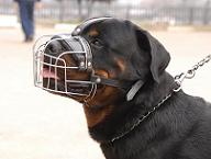 Rottweiler Basket Muzzle - Cage Wire Dog Muzzle For Rottweiler  Rottweiler Basket Muzzle - Cage Wire Dog Muzzle For Rottweiler