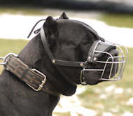 Cane Corso Basket Muzzle - Cage Wire Dog Muzzle For Cane Corso