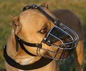 PitBull Basket Muzzle - Cage Wire Dog Muzzle For PitBull