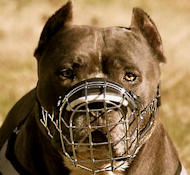 Wire Dog Muzzle for Pitbull -Pitbull Basket Cage Dog Muzzle - M9